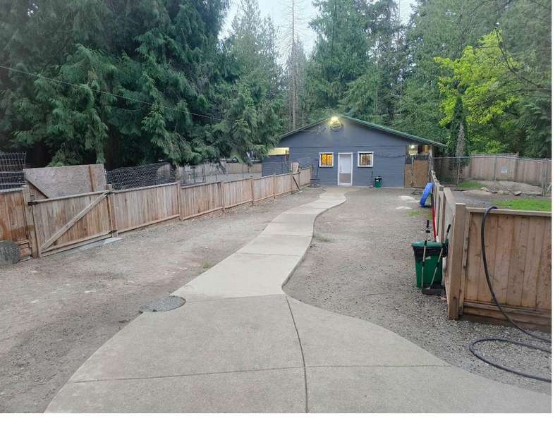 Happy dogs at Castle Rock Kennels